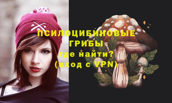 ГАЛЛЮЦИНОГЕННЫЕ ГРИБЫ Баксан