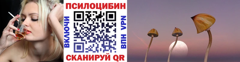 Галлюциногенные грибы Magic Shrooms  закладка  Вольск 